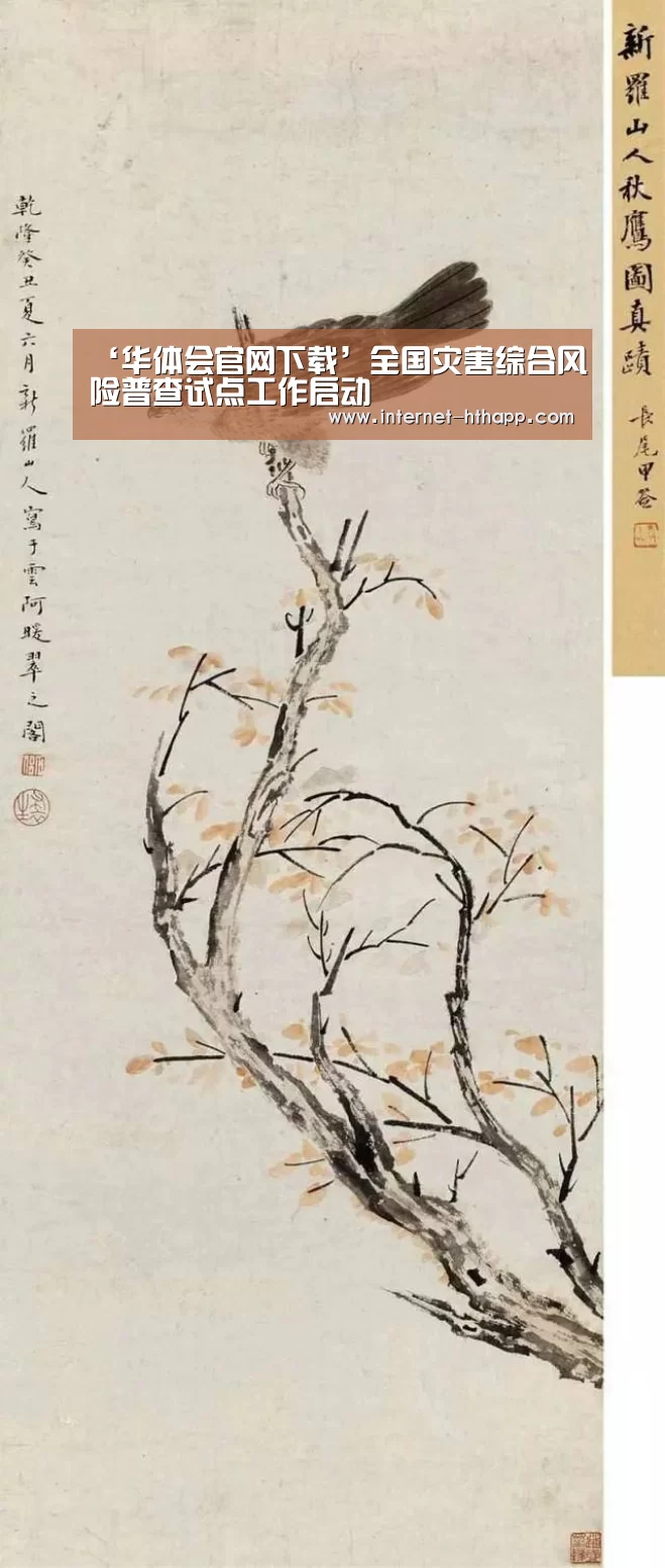 华体会官网下载
