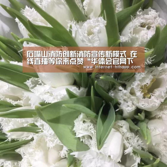 华体会官网下载